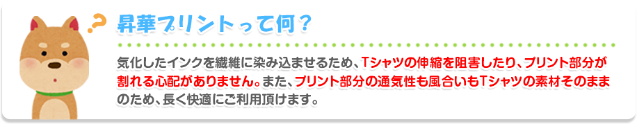 昇華プリントって何？気化したインクを繊維に染み込ませるため、Tシャツの伸縮を阻害したり、プリント部分が割れる心配がありません。また、プリント部分の通気性も風合いもTシャツの素材そのままのため、長く快適にご利用頂けます。